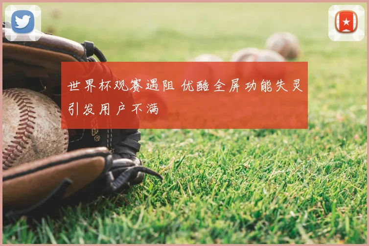 世界杯观赛遇阻 优酷全屏功能失灵引发用户不满