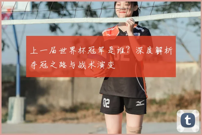 上一届世界杯冠军是谁?深度解析夺冠之路与战术演变