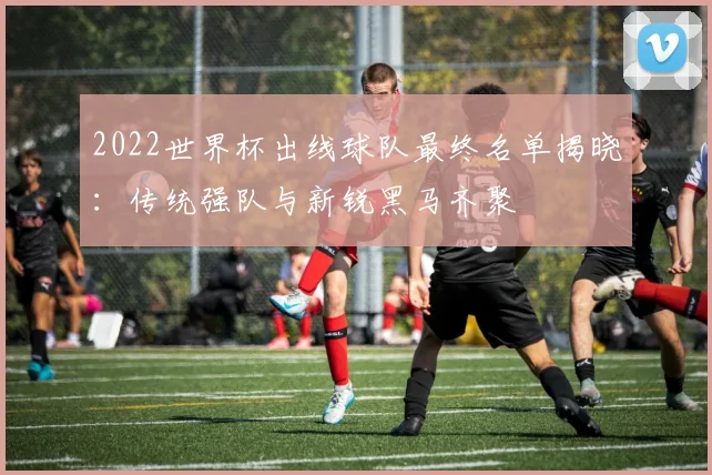 2022世界杯出线球队最终名单揭晓：传统强队与新锐黑马齐聚